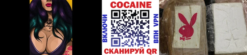 Купить где  Гулькевичи  COCAIN Fish Scale 