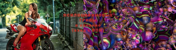 МДПВ Карпинск
