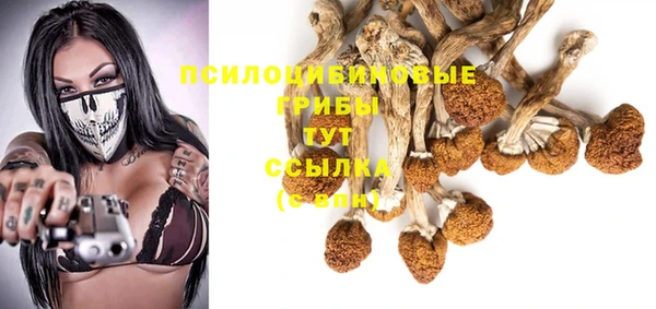 скорость Карталы