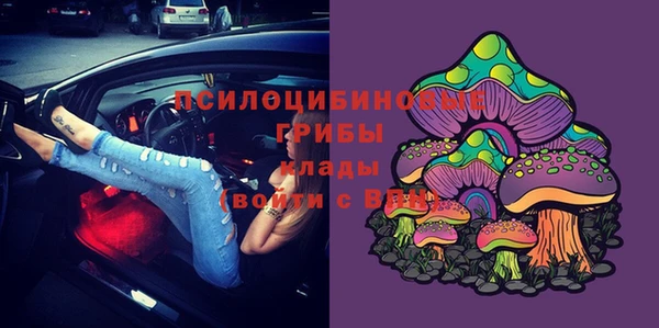 МДПВ Карпинск