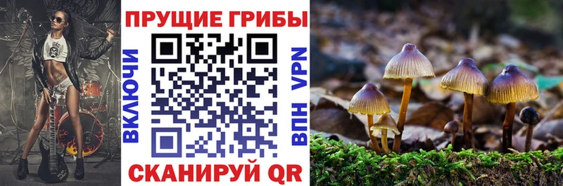Псилоцибиновые грибы MAGIC MUSHROOMS  Купить  Гулькевичи 